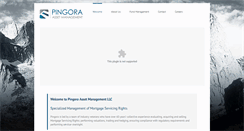 Desktop Screenshot of pingorafund.com